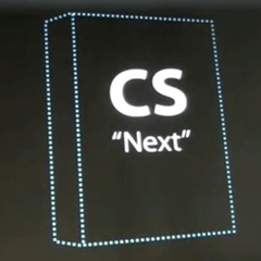 cs-next.gif